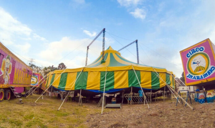 Circo Marambio